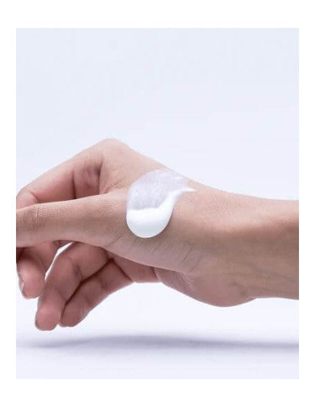 Round Lab - Birch Juice Moisturizing Sunscreen