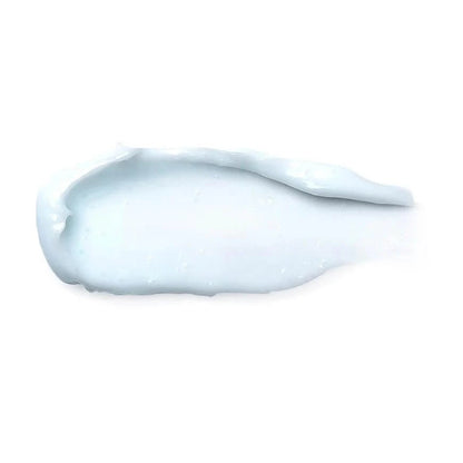 Round Lab - Birch Juice Moisturizing Cream
